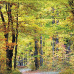 No Packing Necessary / Patricia Ann Joslin