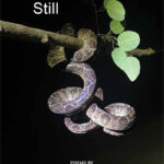 Hold Me Still / Gunilla T. Kester