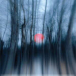 Ain't the Land / William Rieppe Moore