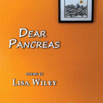 Dear Pancreas / Lisa Wiley